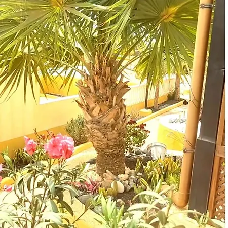 Lägenhet Enete Casa Costa Calma