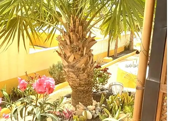 Διαμέρισμα Enete Casa Κόστα Κάλμα